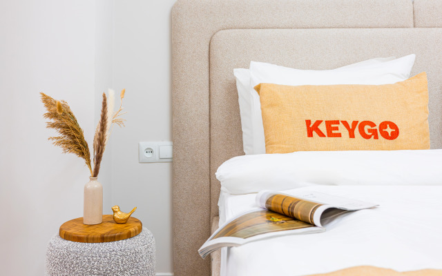 KeyGo #0157 ryadom s goluboi Mechetiu Apartments