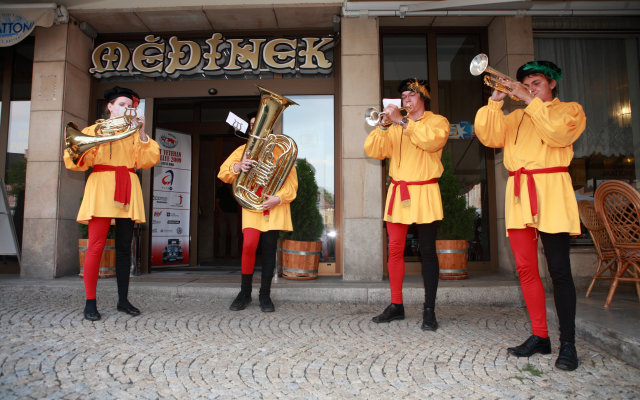 Отель Medinek Old Town