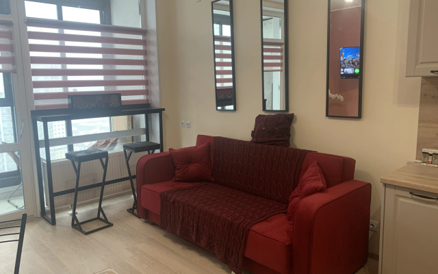 Квартира на улице Репина