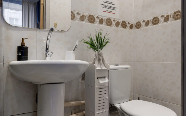 Апартаменты Полулюкс на Василеостровской