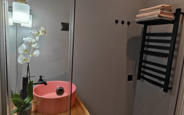 Апартаменты с кондиционером на 4 линии ВО