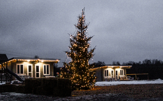 База отдыха Петровское озеро