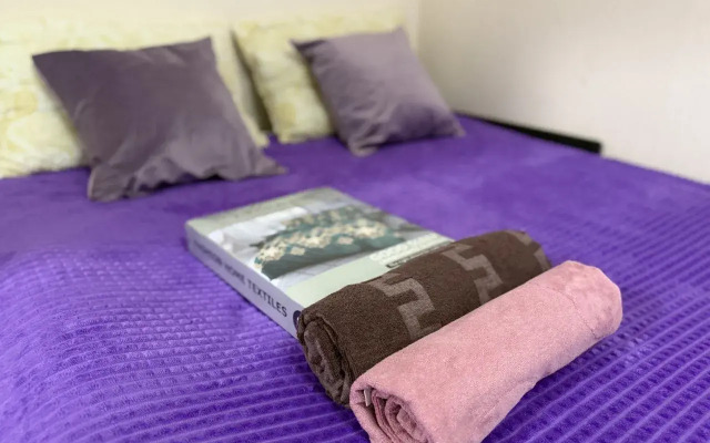 Квартира в Адмиралтейском районе в Доходном доме