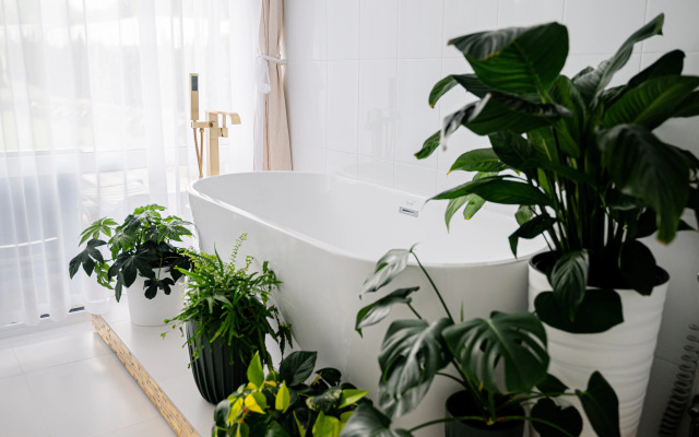 Отель Кавказский Целитель