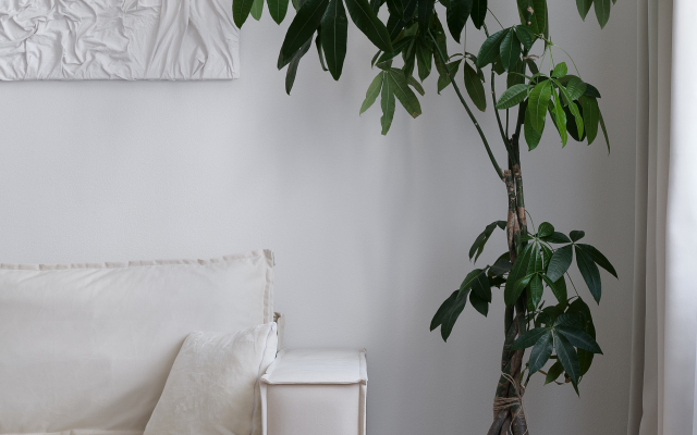 Апартаменты на Австрийской площади