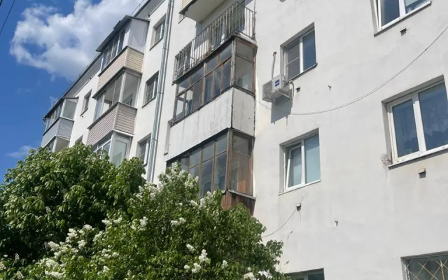 Kvartira Ostrovskogo 52 Flat