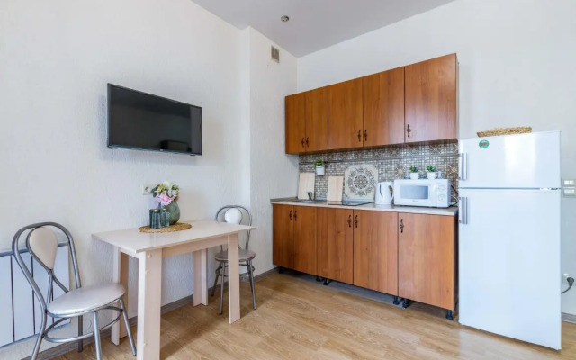 Apartamenty v Samom Tsentre na Belinskogo 30 (565)