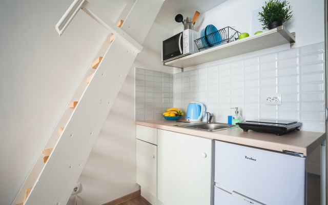 Apartment Dvuhurovnevaya Studiya V Tsentre #2