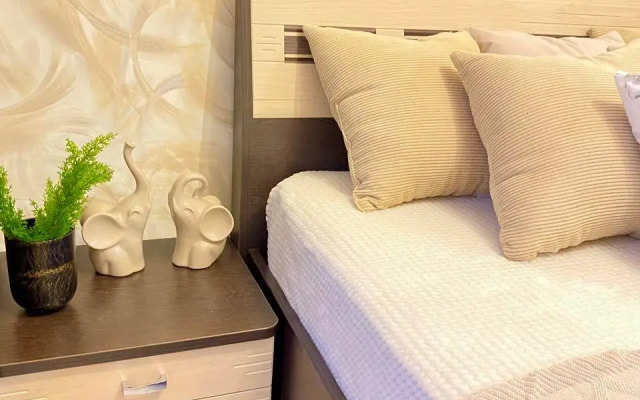 Квартира 3-комнатная в центре на Мичурина