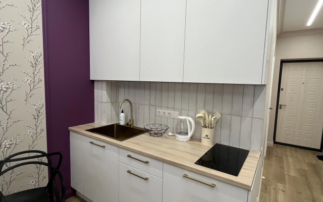 Квартира 19 Сагита Агиша