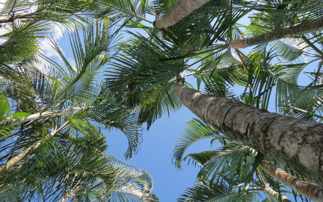 Отель Albri by Rotamundos