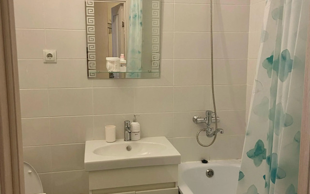 Uyutnaya U Metro Devyatkino Flat