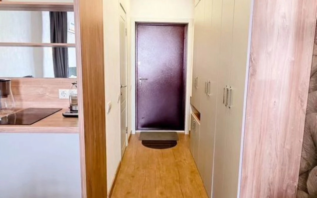 Studiya Na Michurina 58k1 Flat
