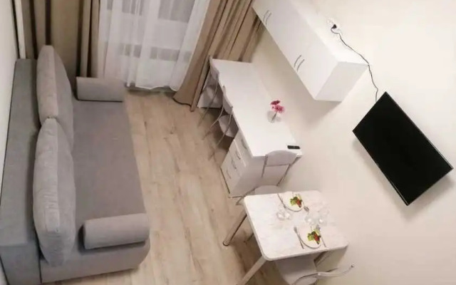 Апартаменты Ивантеевская 9А-529