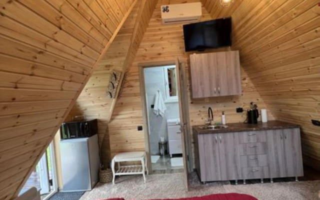 Частный дом Приозерье