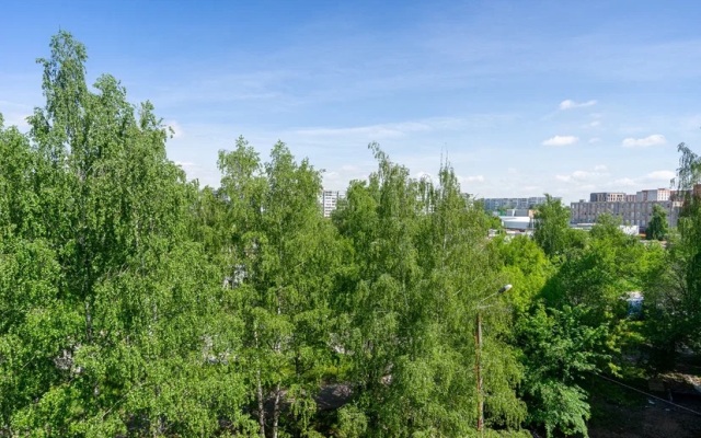 Апартаменты двухкомнатные сети VIZIT рядом с метро Проспект Победы