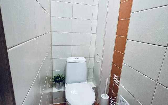 Квартира Уютная просторная однушка (55кв.) с АЛИСОЙ