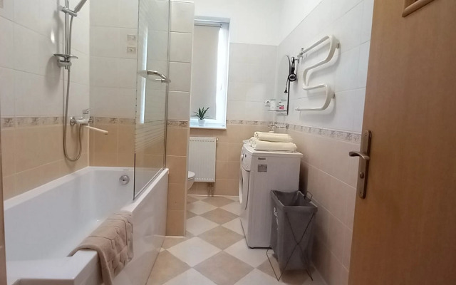 10 Apart Trofi V Istoricheskom Tsentre Amalienau Apartments