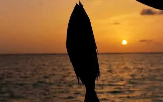 Bon Abri Maldives Guest House