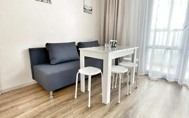 Квартира Елена Озерки