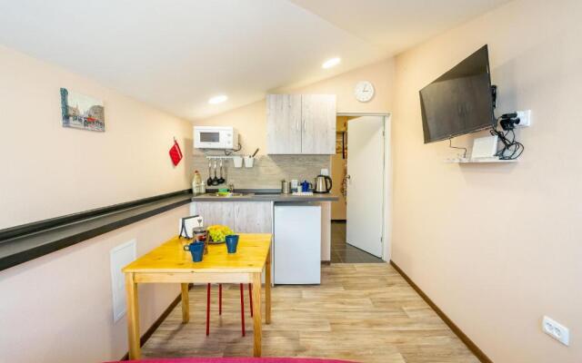 Уютные апартаменты с выходом на крышу