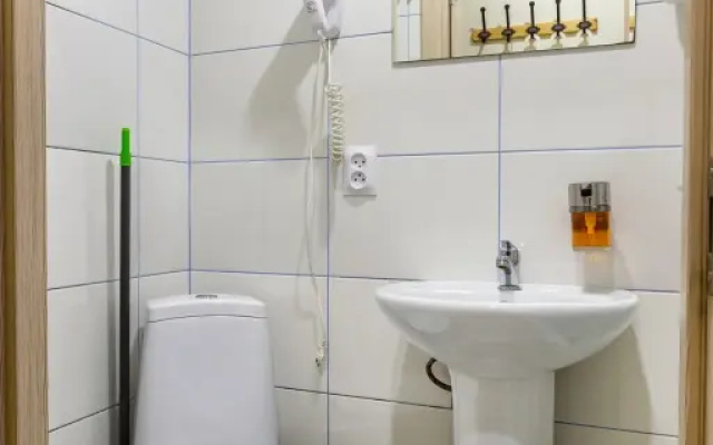 Апартаменты Roomstay Шпалерная стандарт без окна