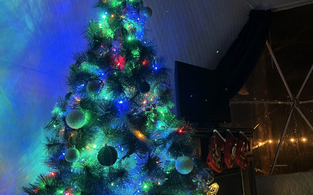 Глэмпинг Глэмпгеокупол "Домик на Оке" Таруса