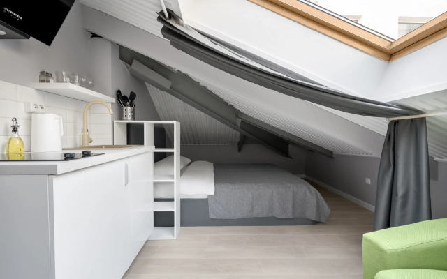 Апартаменты Welcome Home Мансарда Плюс на Невском 106