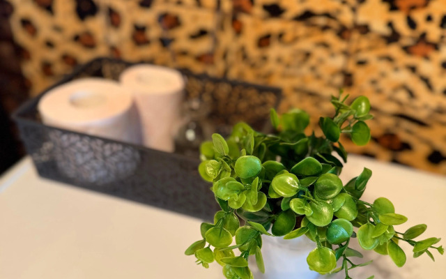 Апартаменты на Кирова 31