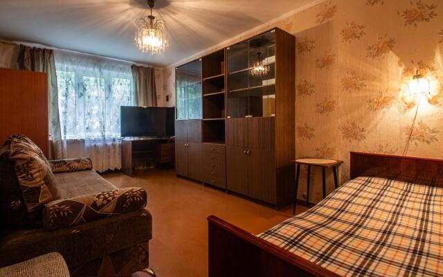 Квартира Вместительная Kravc Group в авиагородке Дягилево