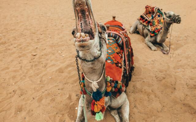 Кемпинг Aroma Desert Safari