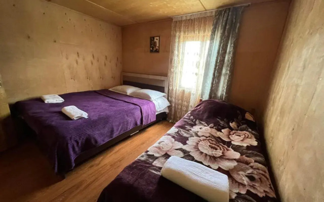 Old Omalo Guest house