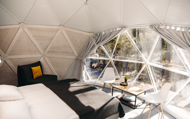 Шале Елки на горке 1