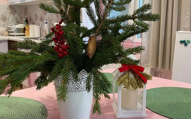 Частный дом на Береговой 1