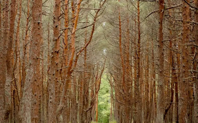 База отдыха Хан Шатыр