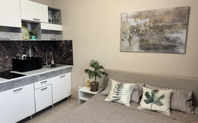 Uyutnaya Studiya V Zhk Zvezda Stolitsy Apartments
