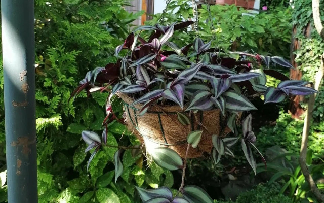 Гостевой дом Эвкалипт