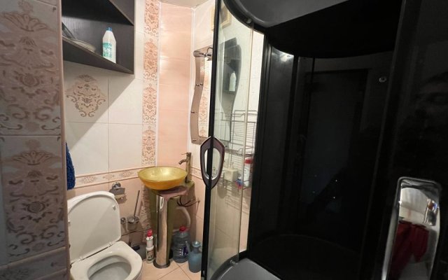 Апартаменты ГУСИ ЛЕБЕДИ