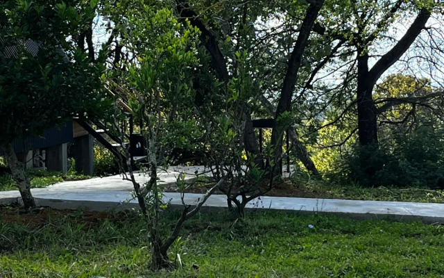 Ayfreymy Pitsunda Guest House