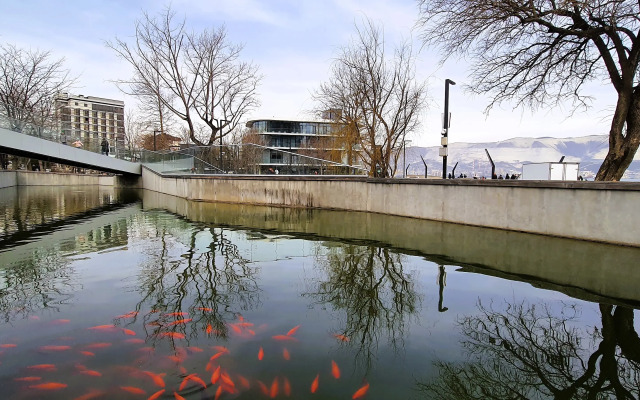 Апартаменты Люксовые