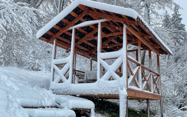 Шале Чинара