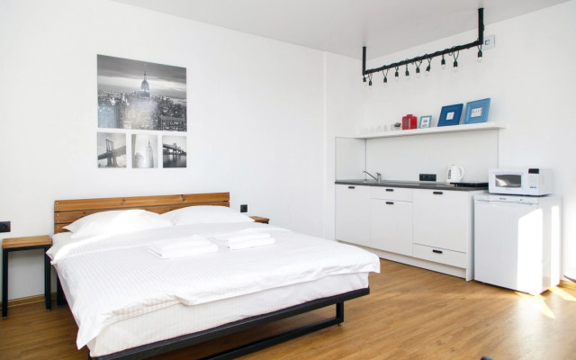 Апартаменты Домант Фрунзе 49 (1)