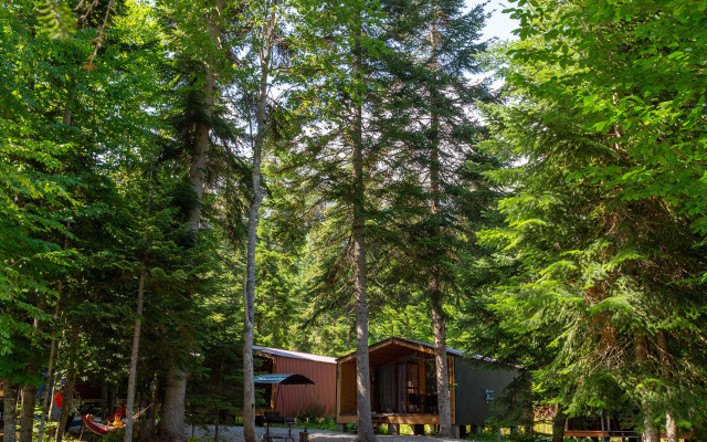 Forest House Resort