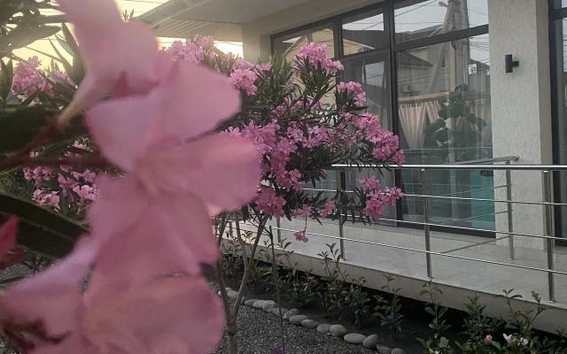 Гостевой дом Марко Поло