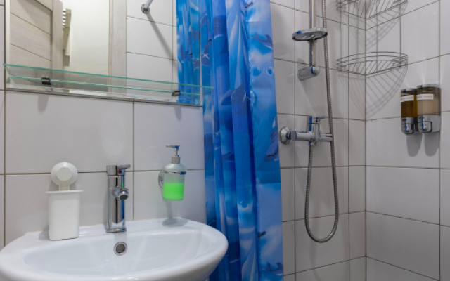 Apartamenty V Tsentre - Ligovskiy 87 (1)