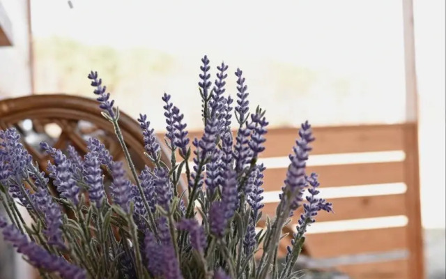 Шале Лаванда