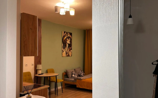 Квартира Студия с Видом на город