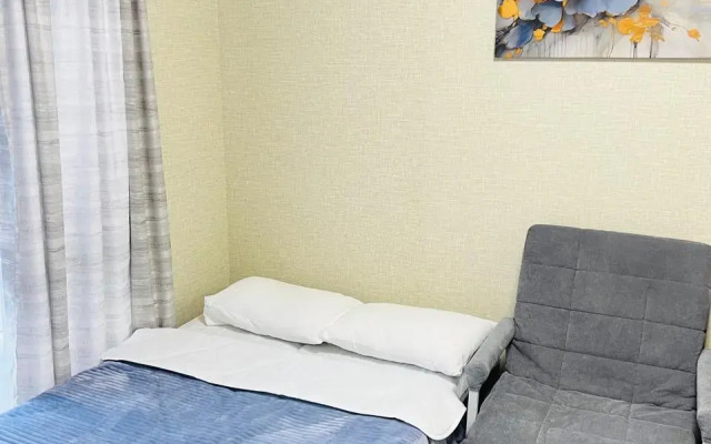 Trekhmestnaya Studiya S Balkonom Apartments