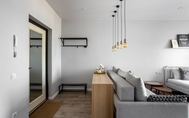 Apartamenty Skylight U Moskovskikh Vorot (2)