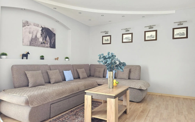 Kvartira Apartament Zivi Uutno